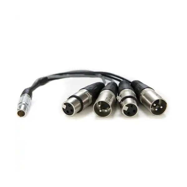 Cavo breakout da LEMO Tipo a XLR In/Out  a 10 pin per Shogun Ultra