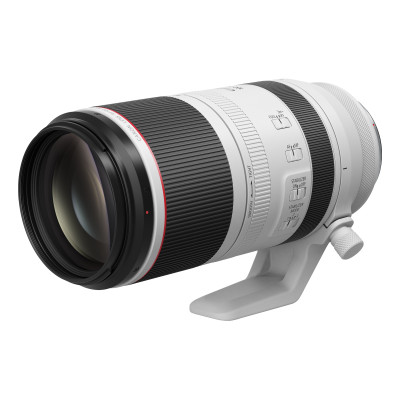 Canon Obiettivo RF 100-500mm F4.5-7.1L IS USM
