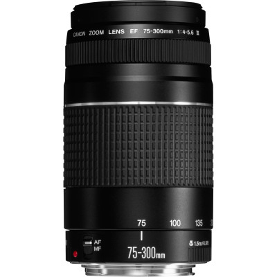 Canon Obiettivo EF 75-300 mm f 4-5.6 III