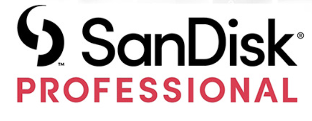 SandiskProfessional