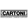 Cartoni